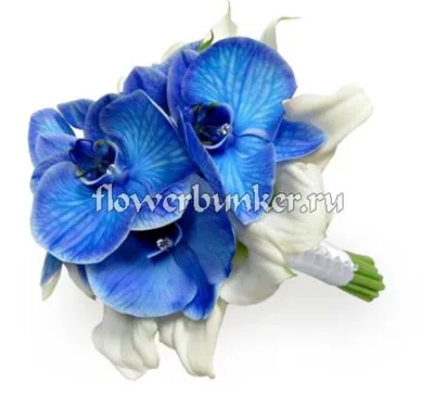 Купить Искусственная Орхидея голубая 2 ветки 55см в кашпо, ФитоПарк по  выгодной цене в интернет-магазине OZON.ru (285108471)