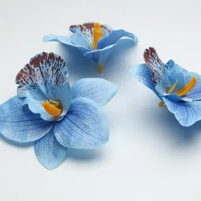 Голубые орхидеи сотканы изо льда,…» — создано в Шедевруме
