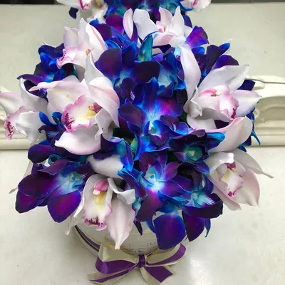 Синие орхидеи – это чудеса природы или как их сделать!? | Гайды/план  отпуска на Сахалин/Курилы| Экскурсии по Сахалину| Заметки обо всём | Дзен