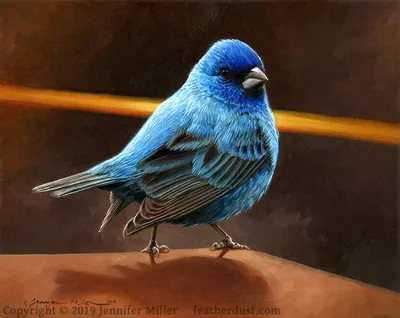Акварель красивые голубые птицы на …» — создано в Шедевруме