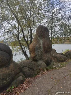 Отзыв о Дендропарк в п. Гончарка \"Сад камней\" (Россия, Адыгея) |  Единственный парк на планете с Окаменелыми Моллюсками в человеческий рост!