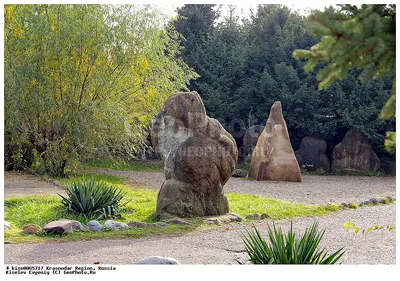 Сад камней | Пикабу
