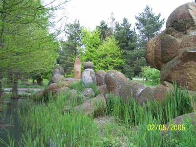 Дендропарк и парк камней в Гончарке - как добраться, что посмотреть - Ветер  путешествий