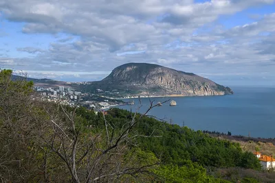 Медведь-гора (на языке крымских татар - Аю-Даг). | Фотосайт СуперСнимки.Ру