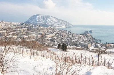 Медведь гора в Крыму. Аю-Даг – фото, легенда, история