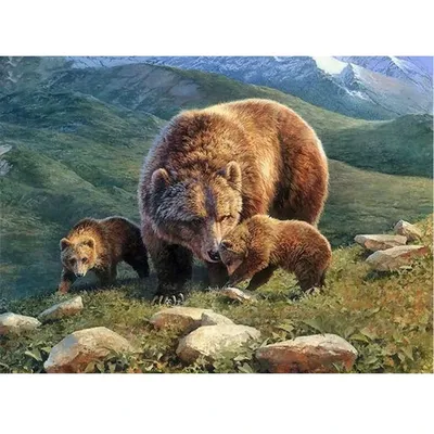 Обои на рабочий стол Три бурых медведя бегут чрез зелёный луг, обои для  рабочего стола, скачать обои, обои бесплатно