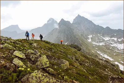 Три Медведя» — Загородный клуб