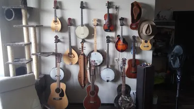 Профессор Государственной классической академии в Москве, гитарист Евгений  Финкельштейн: «Найти хороший инструмент - все равно что найти спутницу  жизни»
