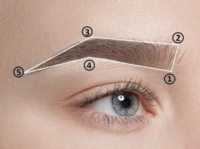 Форма бровей - как подобрать под себя идеальные брови