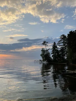 Как попасть на море недалеко от Москвы