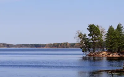 Горьковское море | Пино