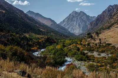 Детский лагерь Горное ущелье - Курорт Банное Башкирия