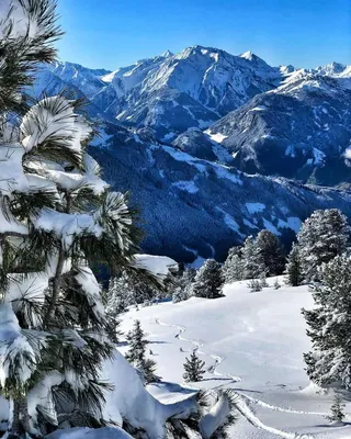 Ski amadé под Зальцбургом – один из крупнейших горнолыжных курортов в Европе