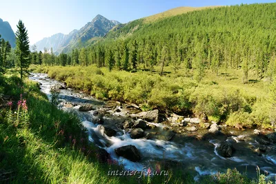 Бесплатные Горные реки в Словении стоковые фотографии | FreeImages