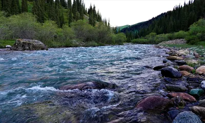 Бурная вода: горные реки угрожают трем регионам Казахстана