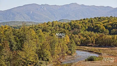 Из Бишкека — в горы! Национальный парк Ала-Арча + ущелье Чункурчак +  Аламединское ущелье 🧭 цена экскурсии €162, отзывы, расписание экскурсий в  Бишкеке
