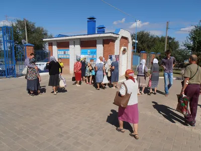 В Астраханской области установили новогодний кактус | АРБУЗ