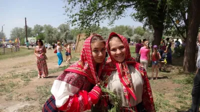 Районный дом культуры г. Камызяк - Система оценки качества условий оказания  услуг