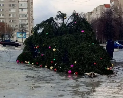 Социальный фонд России, пенсионный фонд, ул. Кирова, 153, Кузнецк — Яндекс  Карты