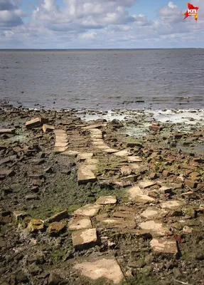 История Рыбинского водохранилища. Затопленный город Молога