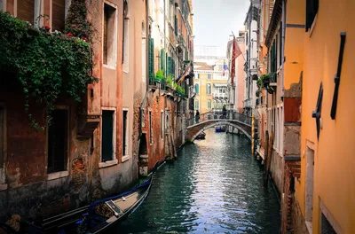 Венеция: город на воде — Teletype