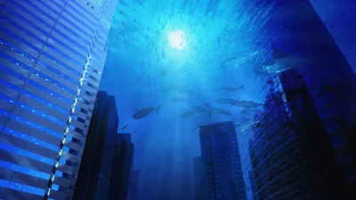 Огромный город под водой обнаружили у берегов Австралии