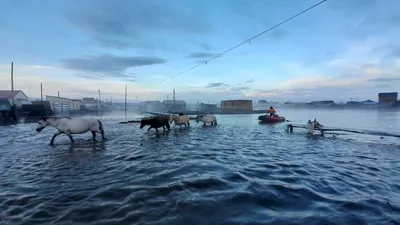 Город под водой: что не так с нижегородскими ливневками?