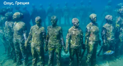 Одна вода. В Южной Корее построят первый в мире плавучий город. Как он  будет выглядеть?: Город: Среда обитания: Lenta.ru