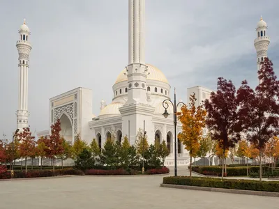 Мечеть \"Гордость мусульман\" в чеченском Шали - самая большая мечеть Европы