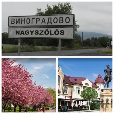 Виноградов-самый тёплый край Закарпатья