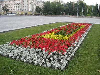 ИркСиб - Полмиллиона цветов для городских клумб