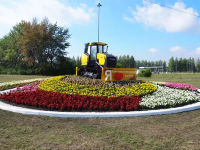 Лучшими в городе выглядят клумбы на прудах (ФОТО) — Новости Хабаровска