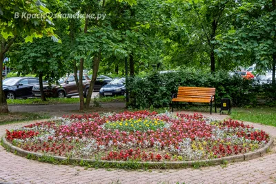 Цветы продолжают высаживать на городские клумбы в Великих Луках : Псковская  Лента Новостей / ПЛН