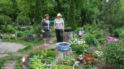 Клумбы Великих Лук наполняются цветами - Городская общественно-политическая  газета