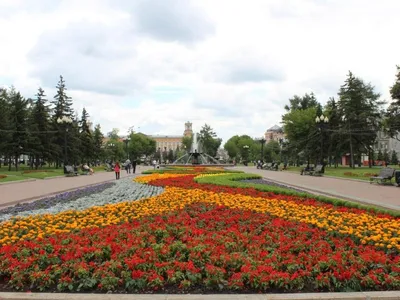 красивые клумбы в городе. городская природа в варшаве Редакционное Стоковое  Изображение - изображение насчитывающей кусты, назначение: 227607249