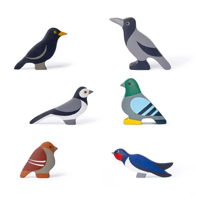 Карикатурные городские птицы испепели голубя и ворона. европейские  красочные птицы крылатые летающие животные векторы Иллюстрация вектора -  иллюстрации насчитывающей смешно, икона: 238765972