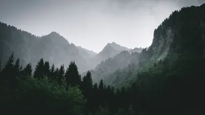 Скачать 1920x1080 горы, лес, туман, пейзаж обои, картинки full hd, hdtv,  fhd, 1080p