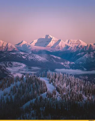 Картинки Канада Moraine Lake Alberta Горы Природа лес 1920x1080