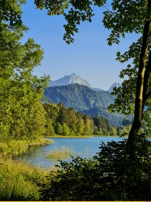 Горы, лес, луг, природа, фон Photos | Adobe Stock