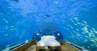 Отели под водой: топ лучших с фото, есть ли подводные отели в России
