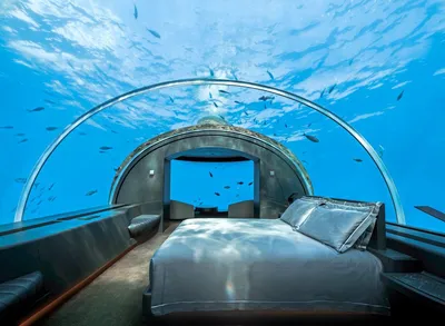 $50.000 в сутки. Стоит ли того подводный отель на Мальдивах? | 100 Дорог |  Дзен