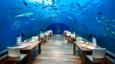 Отель под водой Poseidon Undersea Resort, Фиджи | Красоты Мира | Дзен