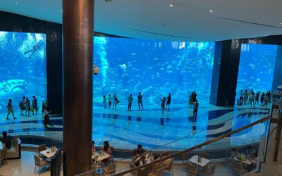 🏛️ 5 самых красивых отелей под водой | Smapse