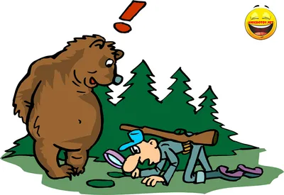 На Камчатке мужчина встретил медведя и пнул его в зад (2 фото + 1 видео) »  Невседома