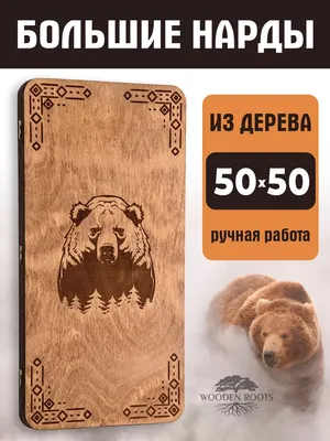 Держим кулачки! В семействе белых медведей Таллиннского зоопарка ожидается  пополнение - Delfi RUS