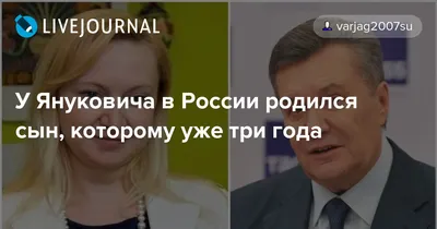 У экс-президента Украины Януковича в России родился сын - Новости  Петербурга - Общественный Контроль