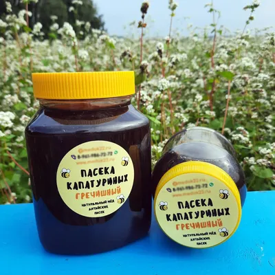 Мёд гречишный – Чувашский Мёд