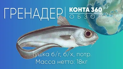 Рыба гренадер: фото, как вкусно приготовить? | Salmon recipes, Savoury  food, Food