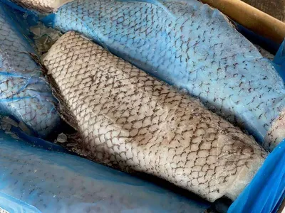Отзыв о Рыба гренадер тушка Ocean Fish | Рыба вкусная