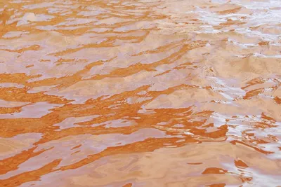 На грязную воду из крана жалуются жители Актау